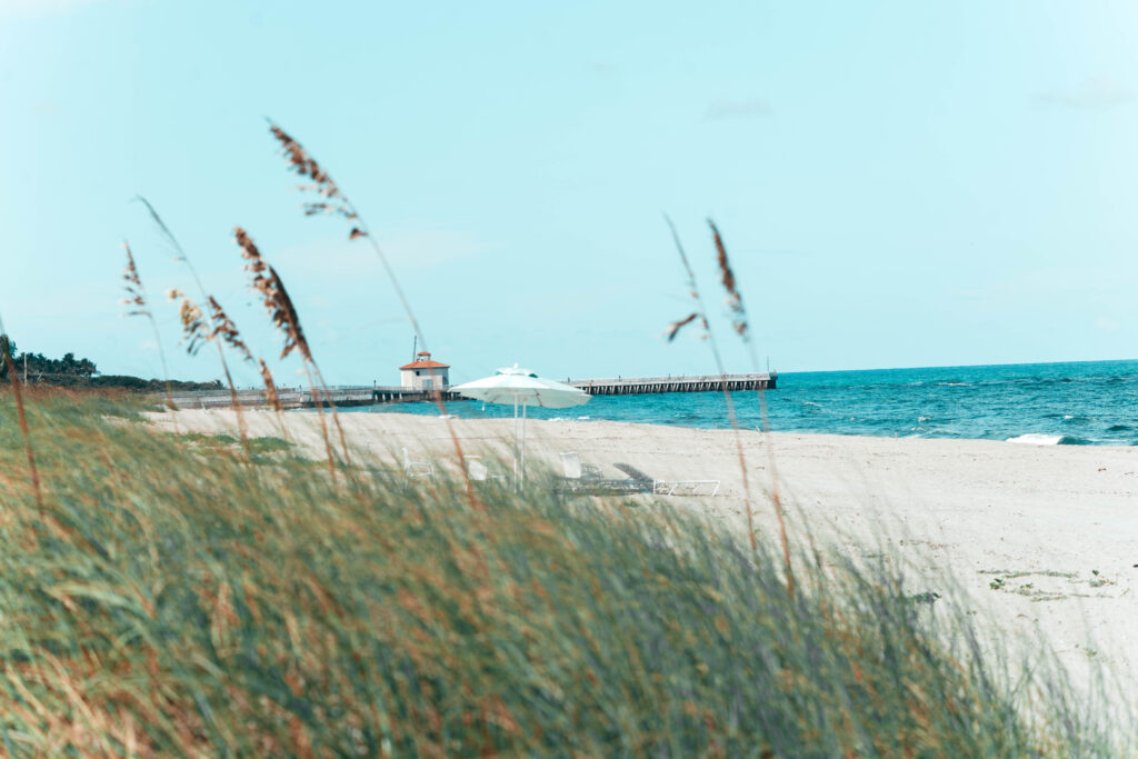 Capturing the Serenity of Boynton Beach's Newborn Bliss - Next Chapter Media.